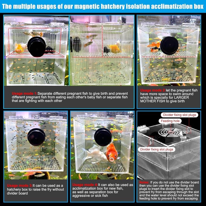 NestBasics Magnetic Fish Breeder Box for Isolation Boxes (4.71 Inch with 2 Divider（Sealed Bottom Version）) - Image 5